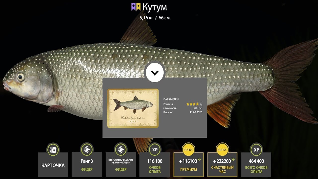 БЕЗУМНЫЙ ФАРМ 10 000 СЕРЫ НА МОРЕ, РАЗДАЧИ УСАЧА И КУТУМА НА АХТУБЕ ОБЗОР ВОДОЕМОВ РУССКАЯ РЫБАЛКА 4