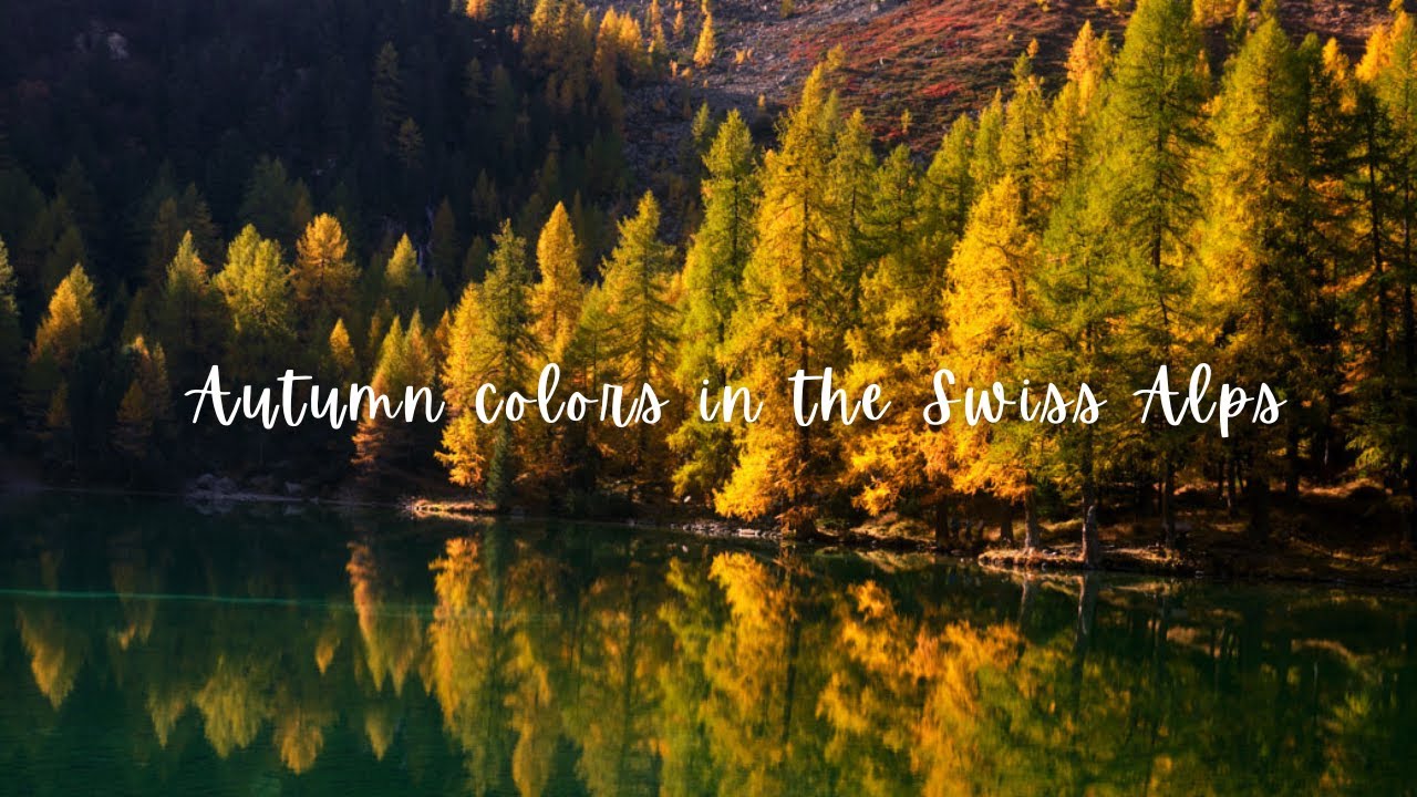 Chasing autumn colors in Switzerland 🧡🍂| Autumn foliage and golden larches in the Swiss Alps🇨🇭