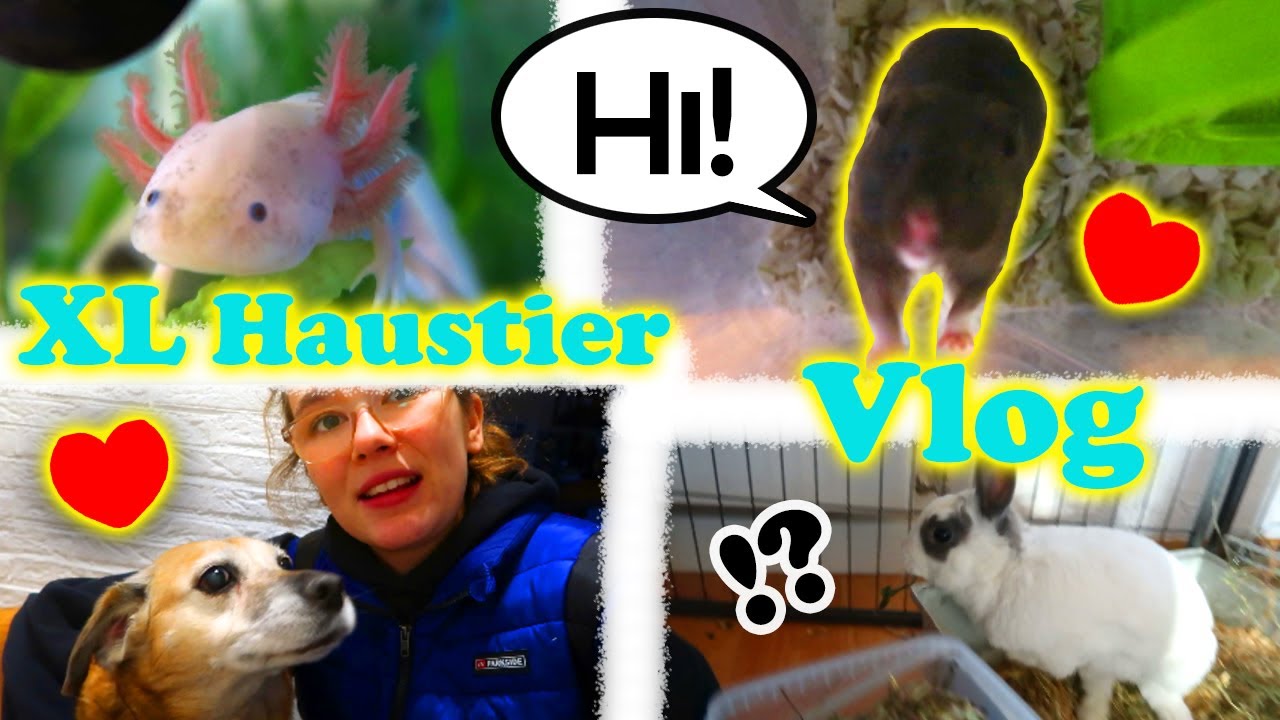 Neue Haustiere 🐾 XL Haustier VLOG 🎬  Eigener Hamstershop🐹🐺 🐰