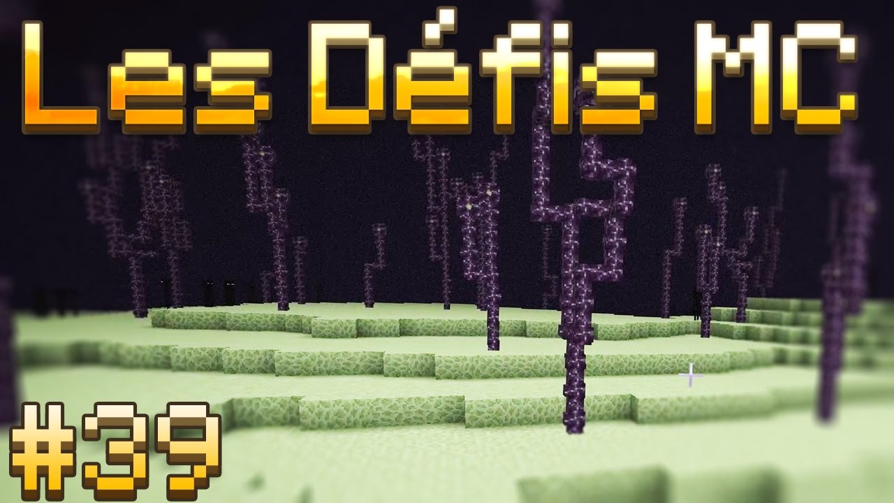ÇA M'EST ARRIVÉ??? | LES DÉFIS MINECRAFT #39
