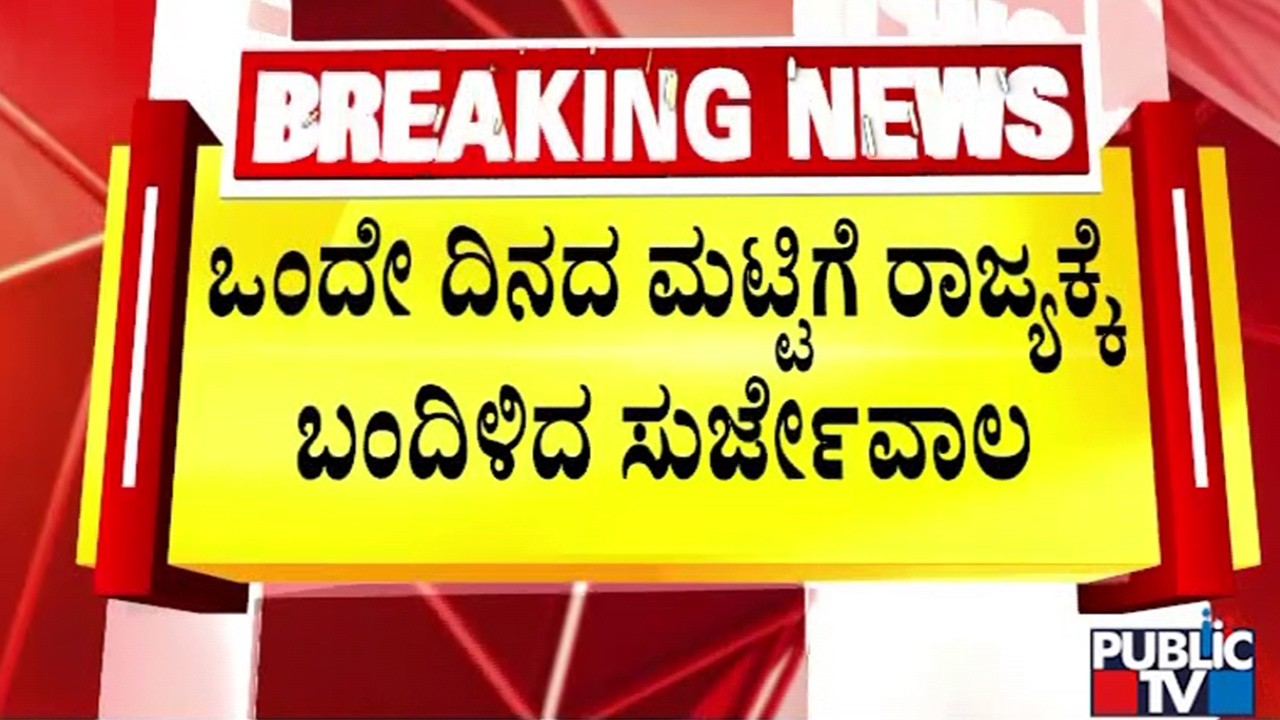 ಒಂದು ದಿನದ ಮಟ್ಟಿಗೆ ರಾಜ್ಯಕ್ಕೆ ಬಂದಿಳಿದ ಸುರ್ಜೇವಾಲ | Surjewala | DK Shivakumar | Public TV