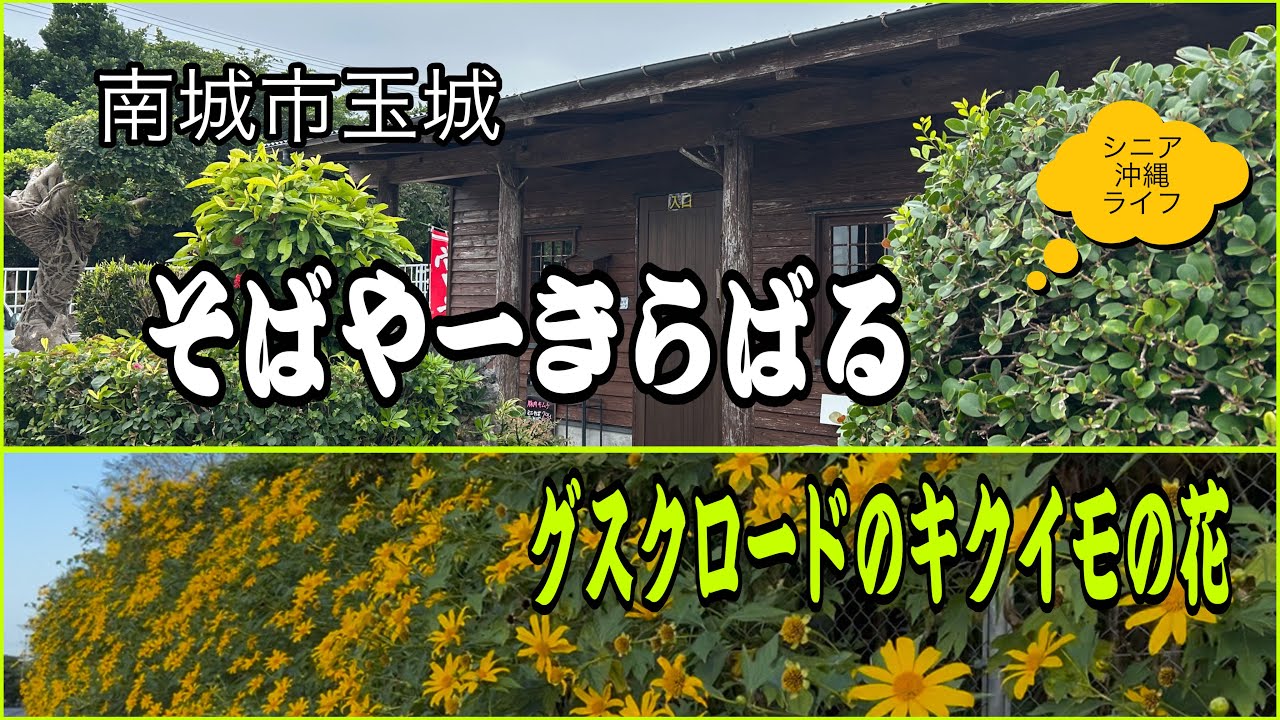 隠れた名店/沖縄お悔やみ情報／グスクロード公園から玉城城跡〜115