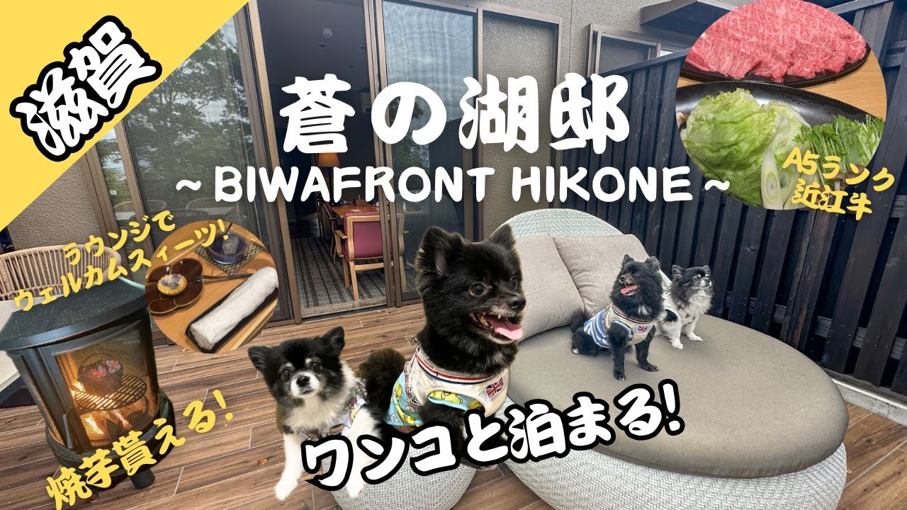蒼の湖邸～BIWAFRONT HIKONE～ワンコと宿泊！ドッグヴィラ！近江牛の夕食！