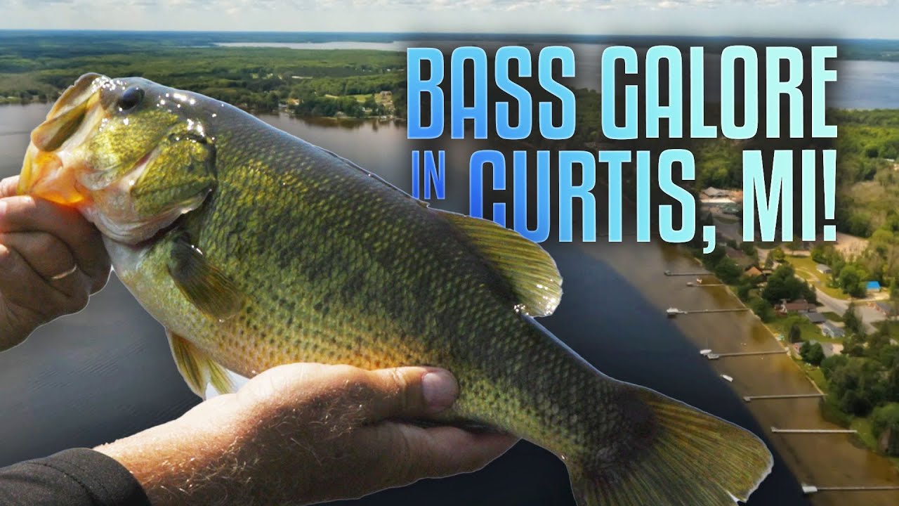 Bass Fishing Paradise: South Manistique Lake | Fisherman’s Digest