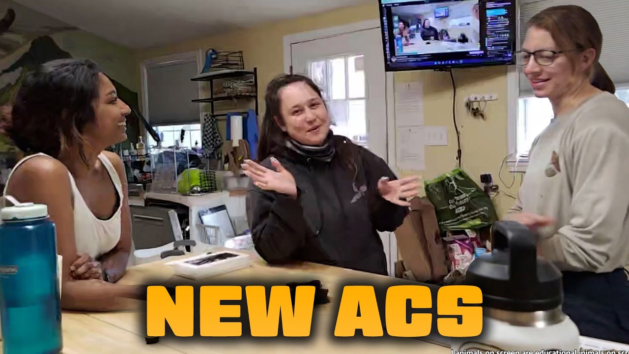 WE HIRED NEW STAFF!