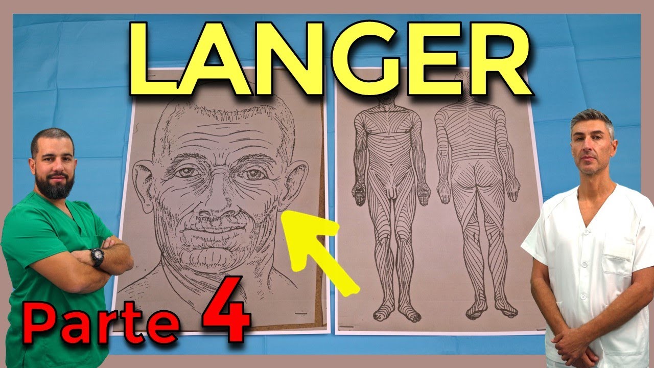 LÍNEAS de LANGER – CIRUGÍA MENOR y SUTURAS (Parte 4)