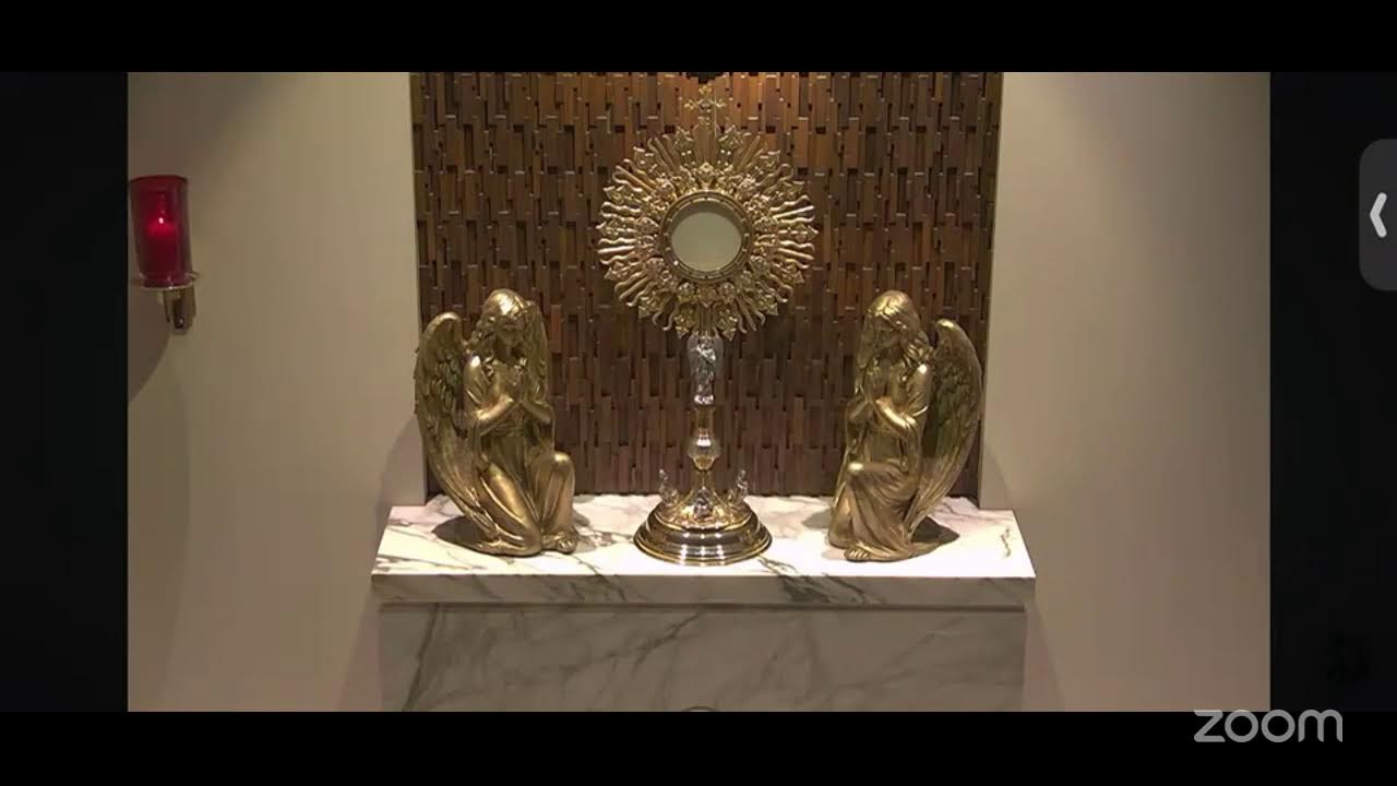 Divine Mercy Hour (Reflection on Diary 12-Sr Faustina) & Mother of Perpetual Help Chaplet