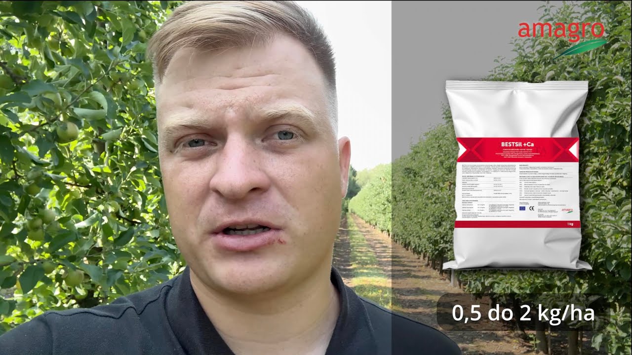 Problemy z wapniem w jabłoniach? Oto skuteczne rozwiązanie od Amagro! 🍎