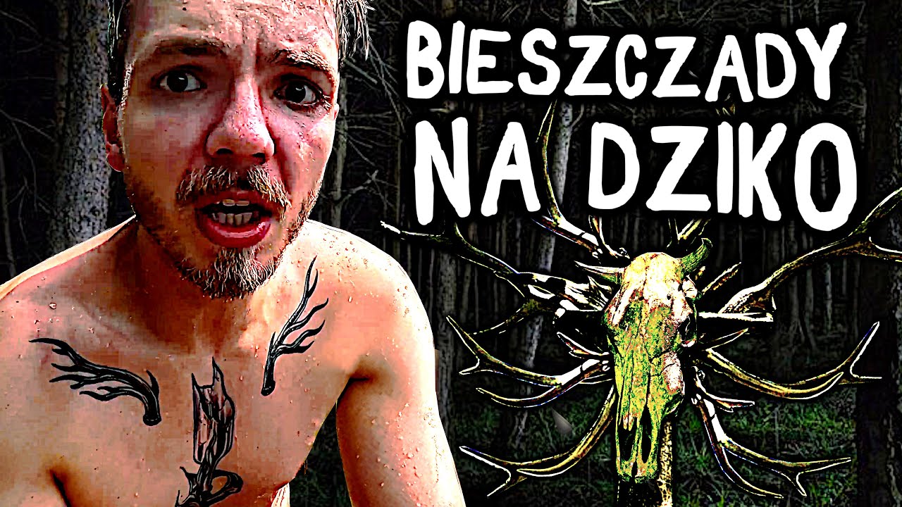 UCIECZKA ZE SZLAKU I SPOTKANIE Z ŻUBRAMI - Bieszczady Na Dziko