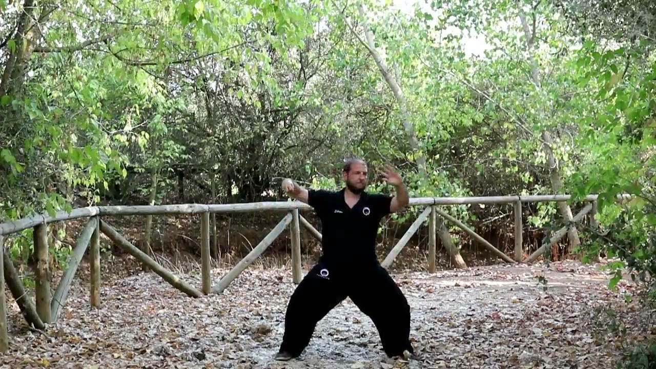 Tai Chi Day 2021 ( Día Mundial del Tai Chi y Chi Kung ): Homenaje a Álvaro Quintano