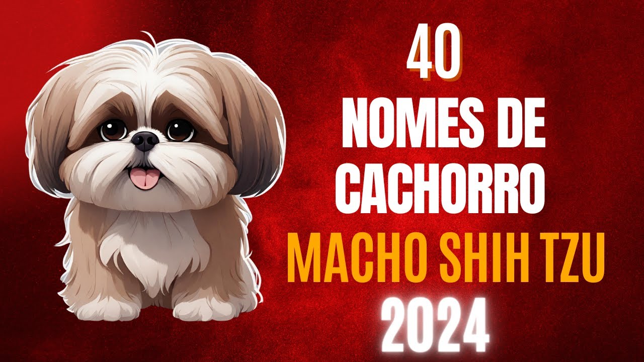 Nomes de cachorro MACHO SHIH TZU! Lindos!!!