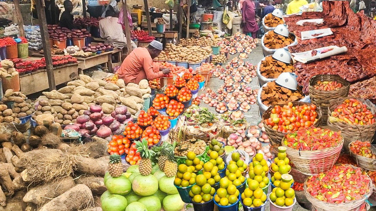 Cheap Foodstuff Market in Abuja! Exploring the Famous Kilishi Village in Nigeria 🇳🇬