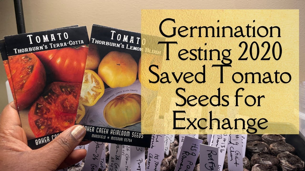 Preparing for My First Seed Exchange