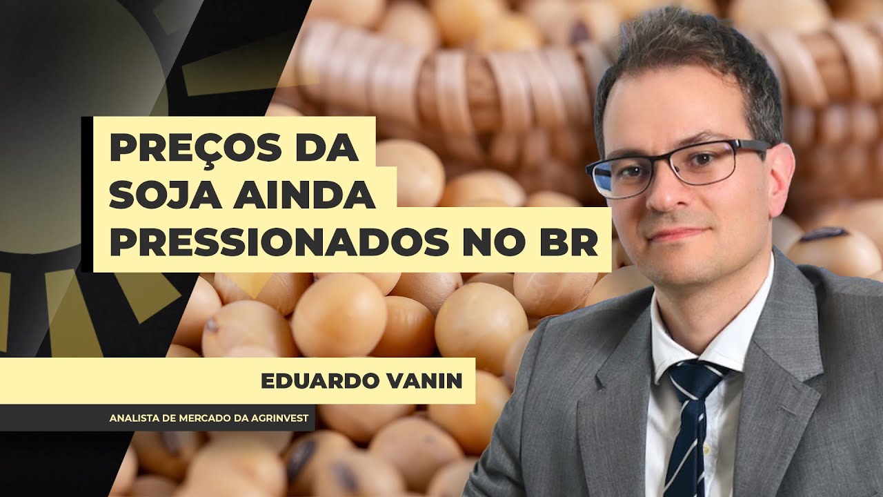 Preços da soja no BR continuam pressionados apesar de Chicago acima dos US$ 11, prêmios ainda sentem