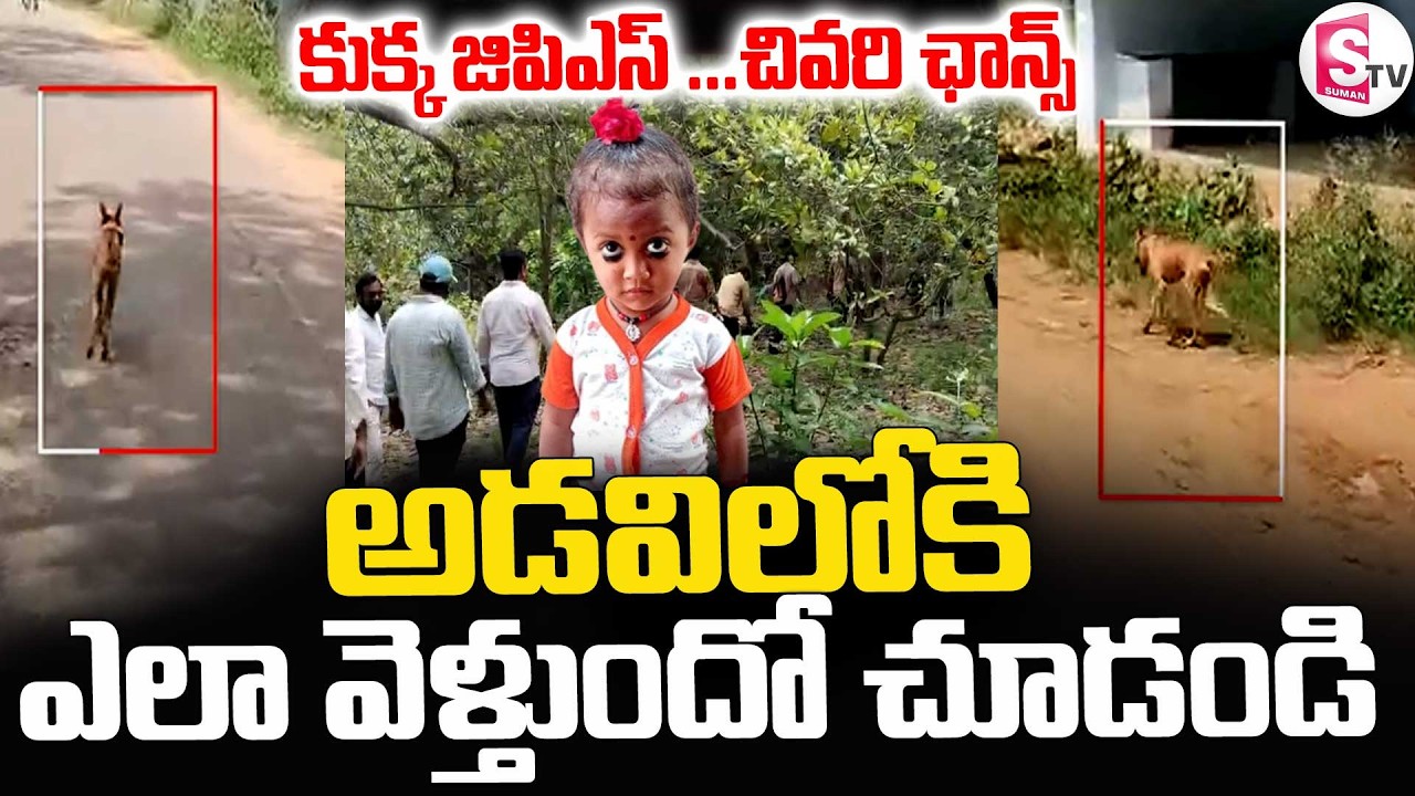 Kakinada Jahnavi Missing Updates || 🔴కుక్క జిపిఎస్ ..చివరి ఛాన్స్ || Latest news || SumanTV Deepika