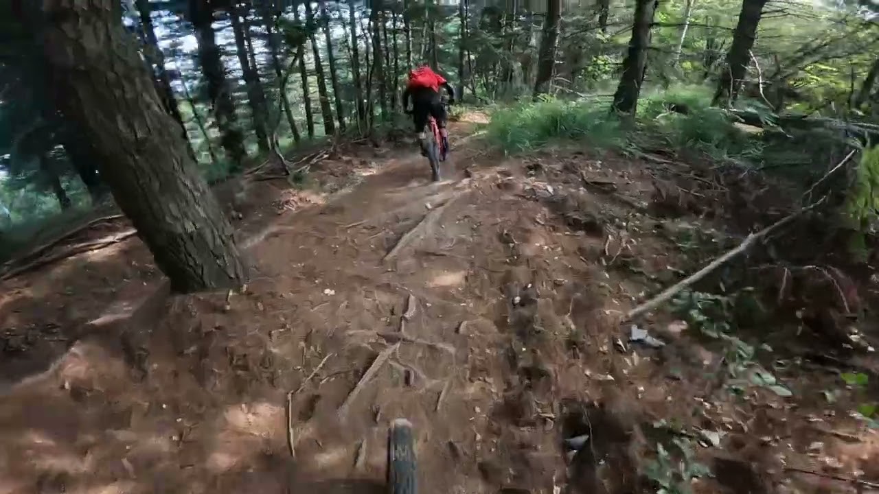 Verzuolo mtb. Trail pazzeschi a pochi passi da Torino
