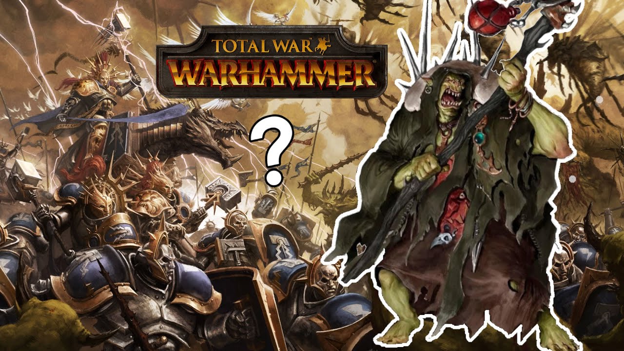 What Total War Warhammer Game Should be Next?
