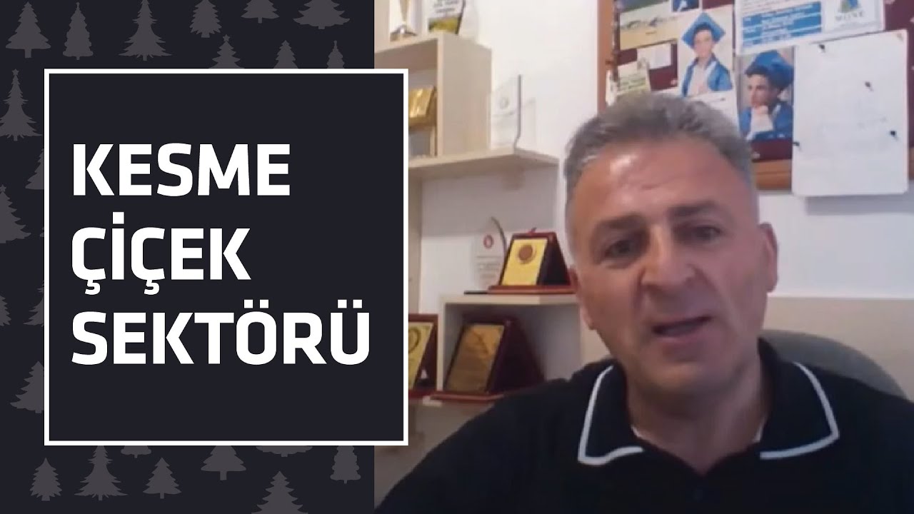 Kesme Çiçek Sektörü