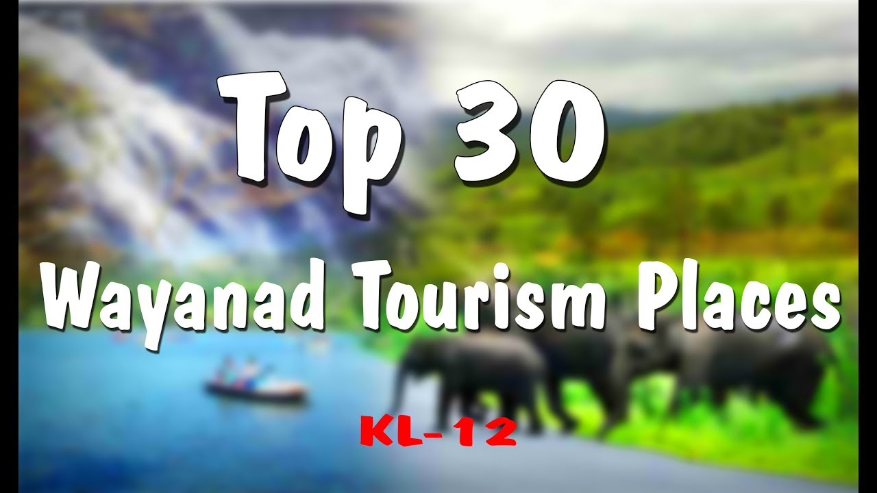 Wayanad tourist places Top 30  #Wayanad  #edakkal caves #kuruva island #sulthan bathery