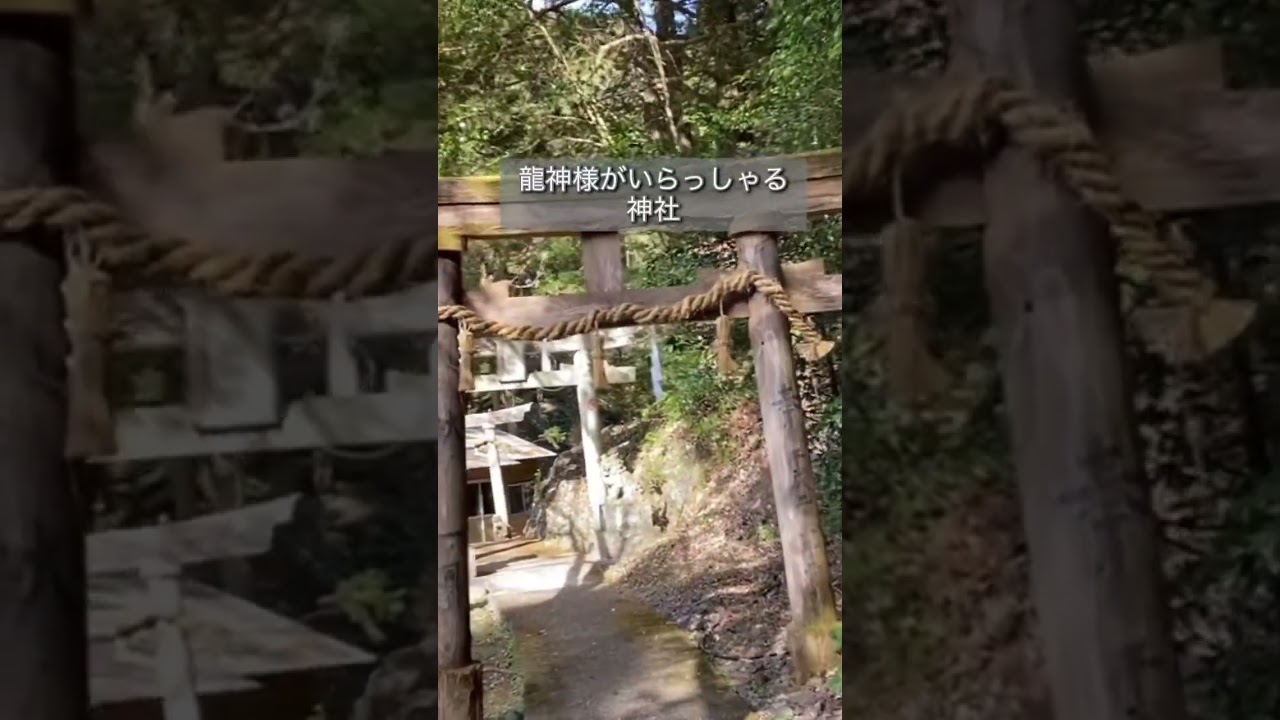 隠れた秘境スポット！7つの淵がお出迎え。山里の奥の龍の神社、七ツ淵神社（高知）#龍神 #神社#旅行 #景色 #パワースポット