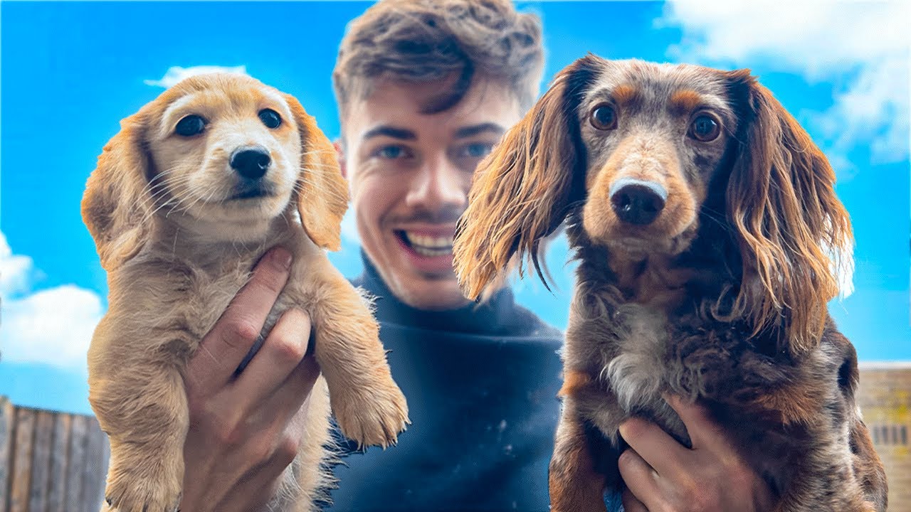 DIT IS MIJN NIEUWE PUPPY MOOS! 😍