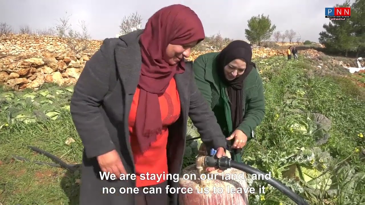 فيديو PNN : نساء فلسطينيات يسخرن من مخططات ترامب ويؤكدن تمسكهم بالارض وزراعتها شاهد