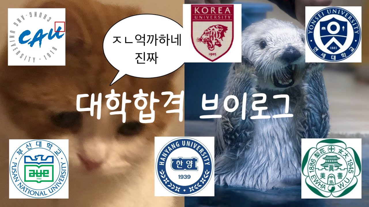 일반고 전교3등 대학합격 브이로그☠️ | 1학종5교과 | 수시3관왕👑(오열 없음, 눈물없음, 역대급 무미건조)