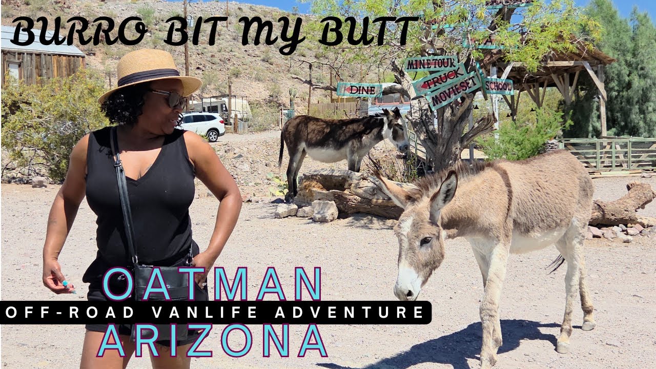 OATMAN'S Wild DONKEY Bit My A- - | Van Life Adventure in Arizona