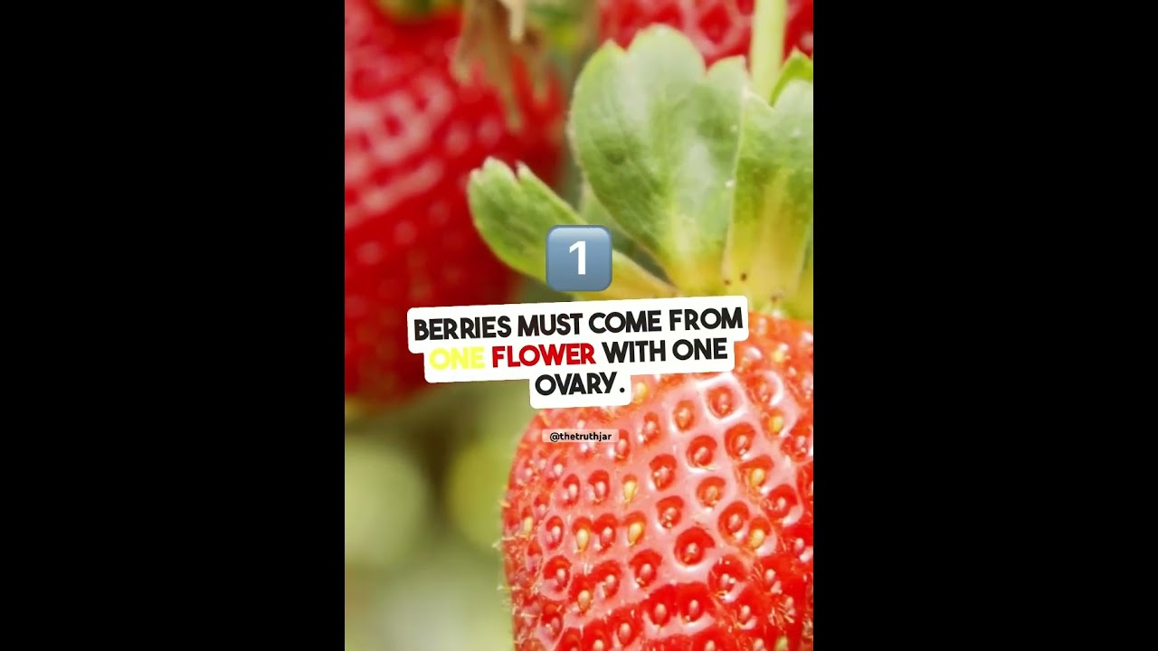 Strawberries 🍓 #strawberry #banana #facts #factsshorts #factsvideo #trending #fruit #factsonly