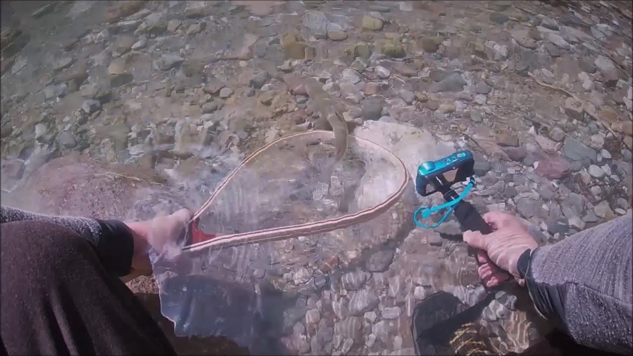 Peschiamo in FIUME dalla TROTA piccola a quella GROSSA con il RAPALA COUNTDOWN!!