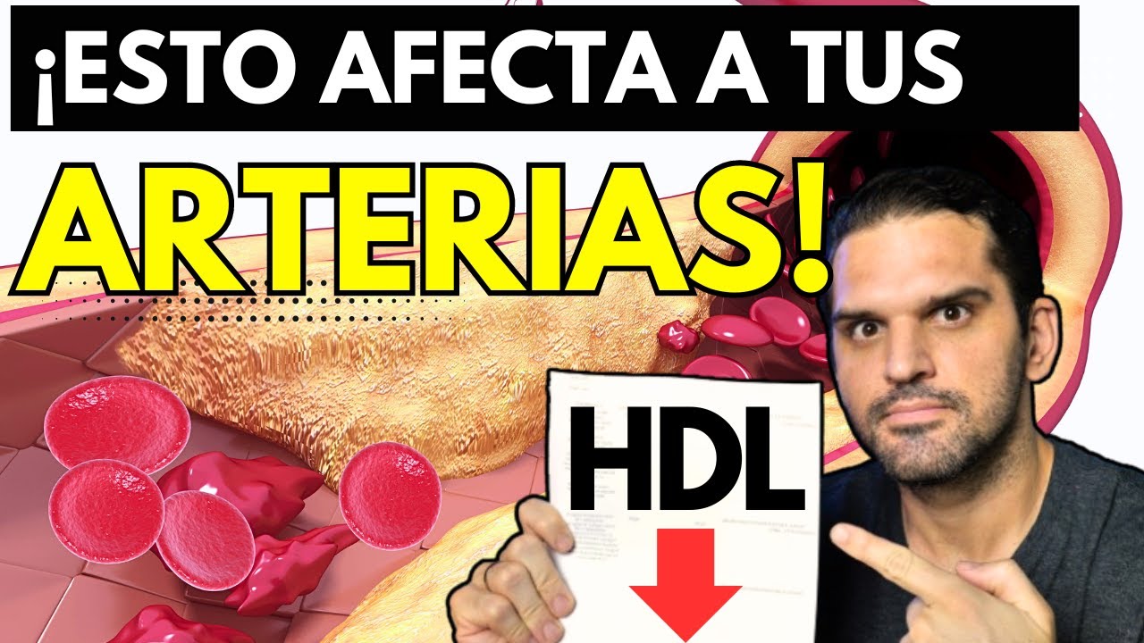 Aumenta tus Niveles de  HDL con Estos SENCILLOS Consejos ✅