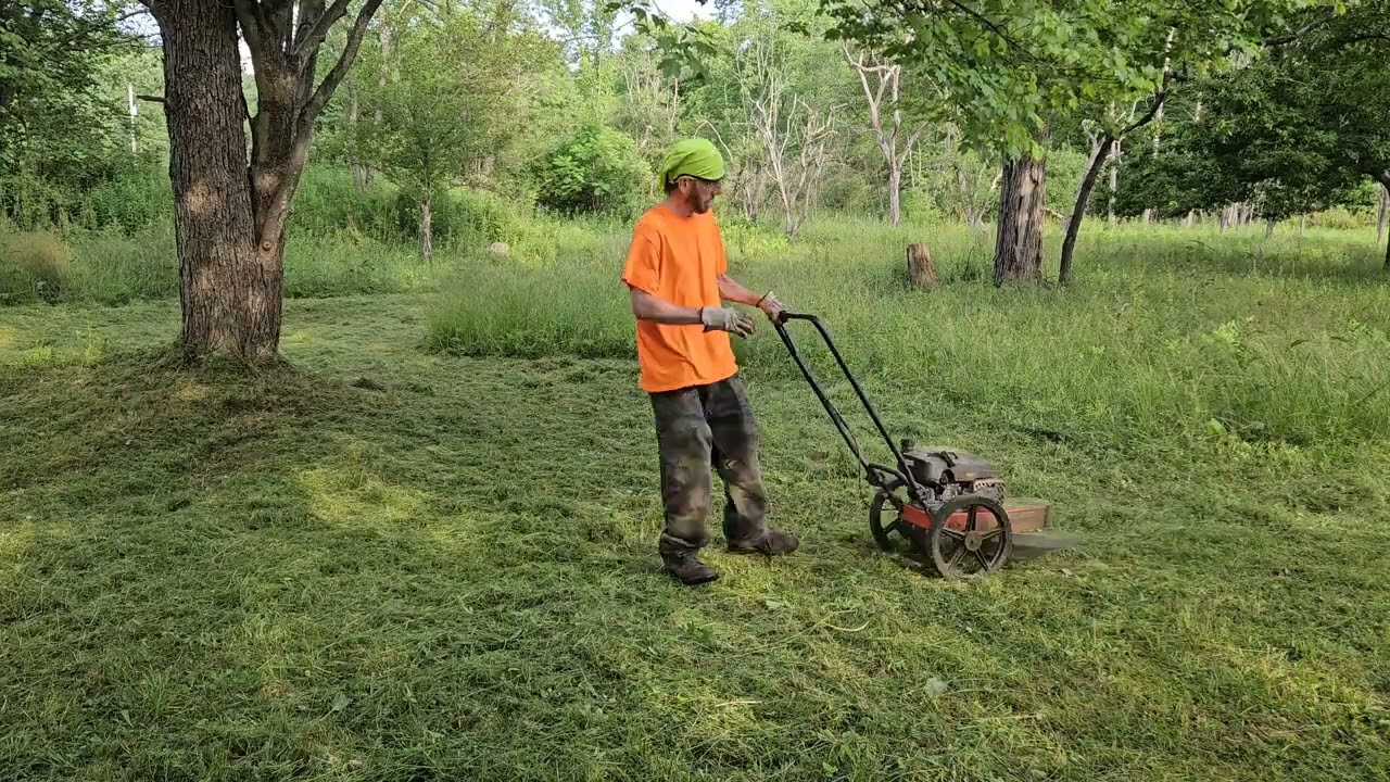 Dr Power Premier push trimmer 1 year review - trimming tall grass time-lapse