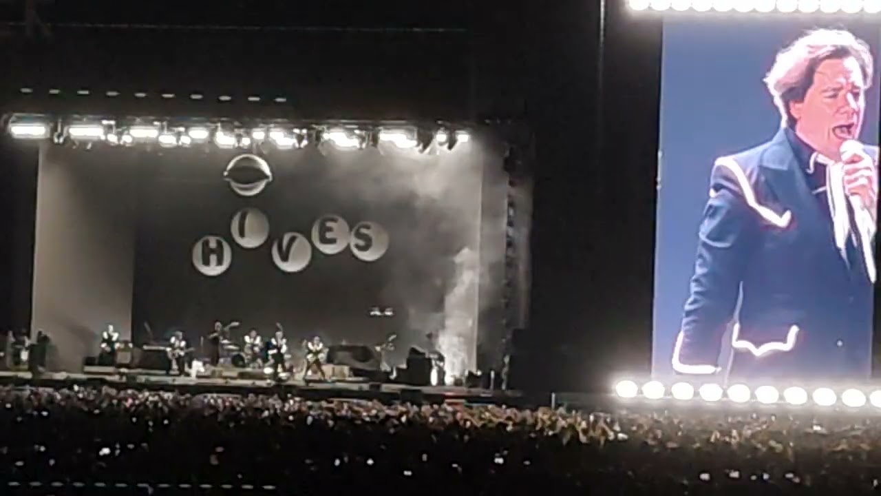 Enough is Enough - The Hives 