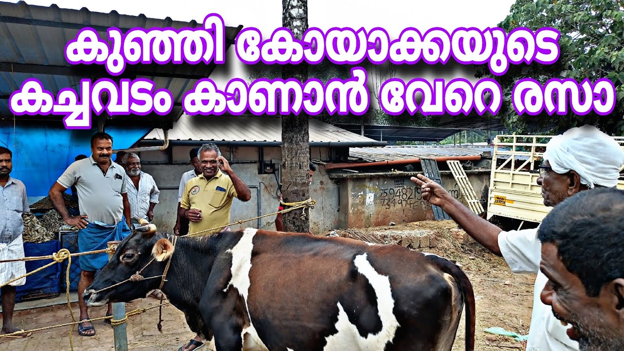 കുഞ്ഞി കോയാക്കയുടെ കച്ചവടം കാണാൻ വേറെ രസാ..ചട്ടിപ്പറമ്പ്