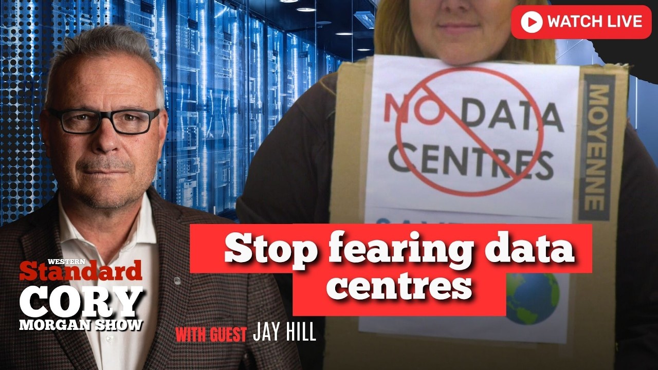 Fighting the creation of data centres is cutting off our noses to despite our faces