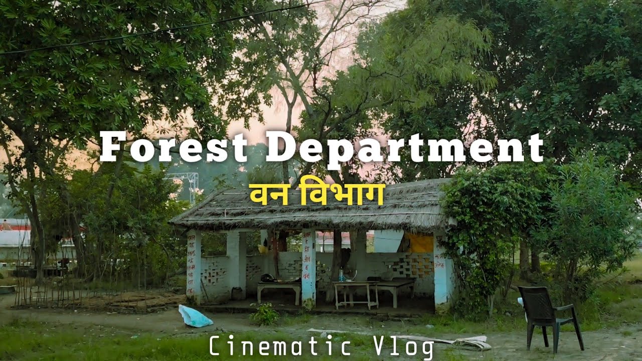 Most Peaceful Place | Forest Department Cinematic Vlog | वन विभाग