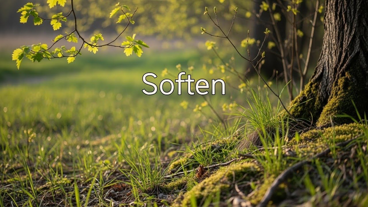 🌿Soften – 1 Hour Open Meditation for Gentle Breathing & Inner Space