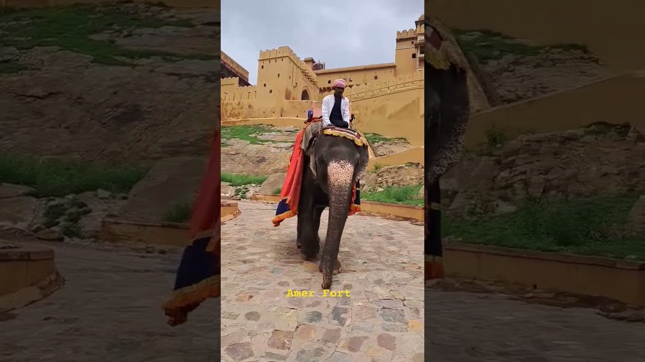 Elephant Ride at Amer Fort || Rajasthan Tour || @RajasthanTourismChannel #myfirstvlog #jaipurtour