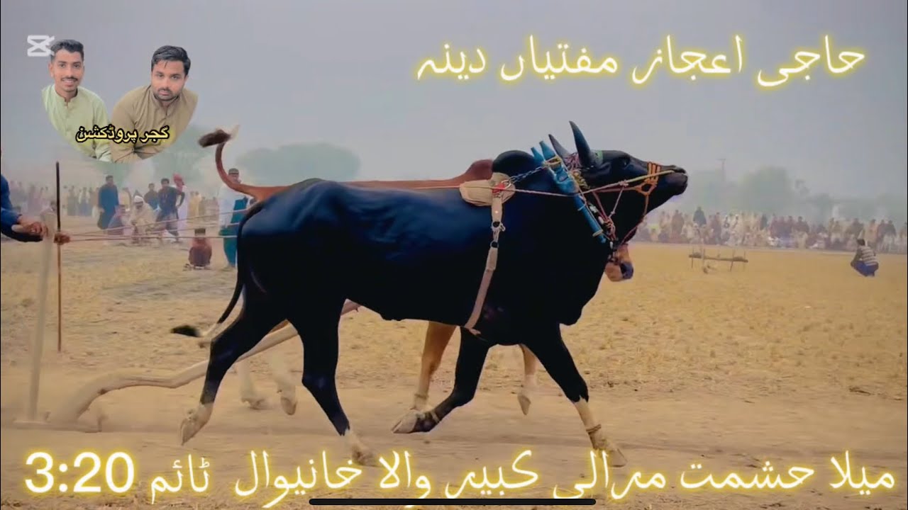 اکھاڑہ حشمت مرالى كبير والا خانیوال ماشاءاللہ حاجی اعجاز مفتیاں دینہ