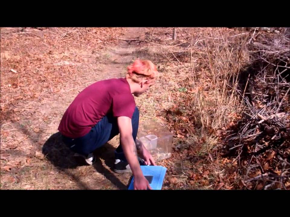 STAR Foundation - Mouse Release