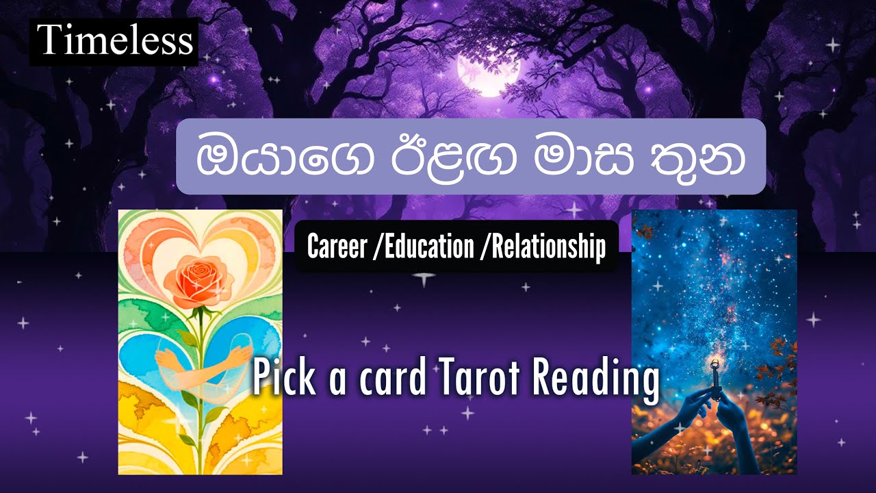ඊළඟ මාස තුන තුළ ඔයාගෙ life එකේ මොනවද වෙන්නේ?🧿❤️💰🎓 | Next 3 months Prediction🔮💜