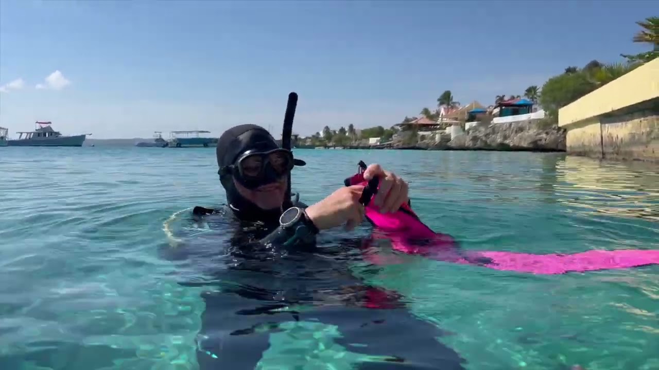Buddy Dive Academy - How to deploy a DSMB