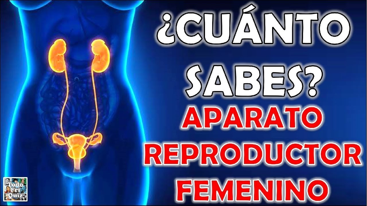 ¿Cuánto Sabes del "APARATO REPRODUCTOR FEMENINO"? Test/Trivial/Quiz