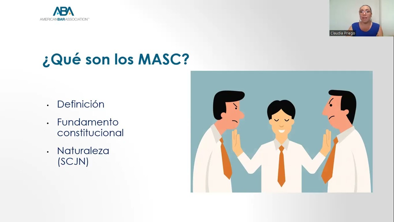 LOS MASC EN MATERIA PENAL