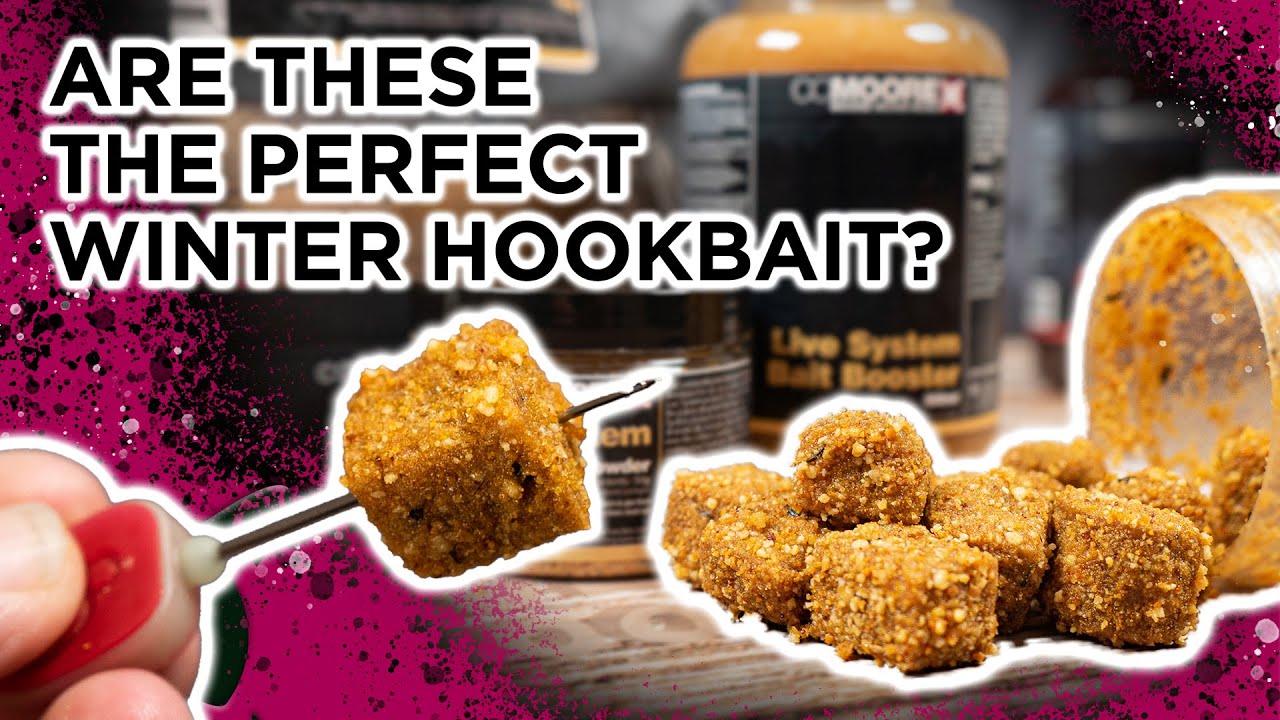 Make Your Own Live System Paste Cubes For Winter Carp Fishing ❄️