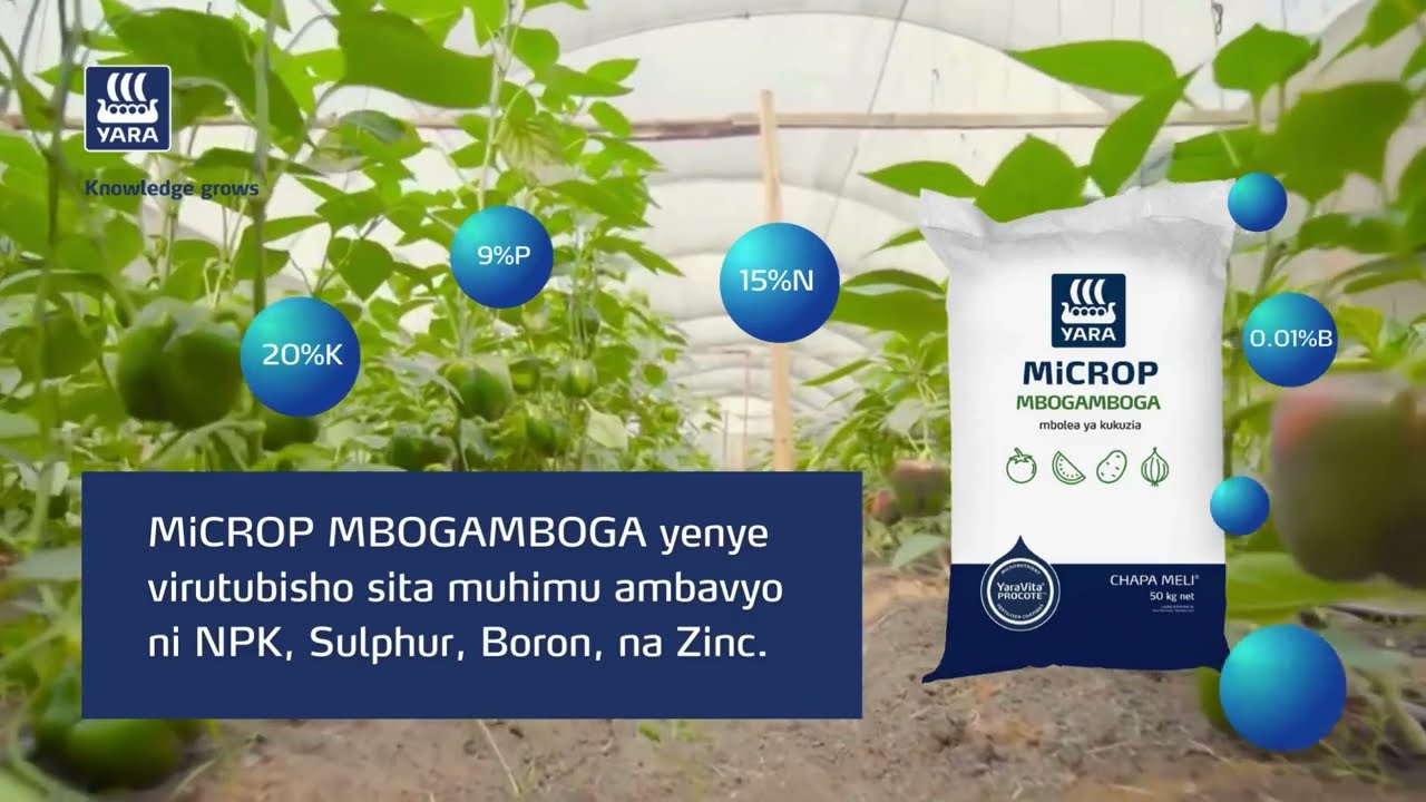 Fahamu Mbolea Sahihi ya Kukuzia ili Kupata Mavuno Mengi Yenye Ubora Kwa Mazao Ya Bustani.