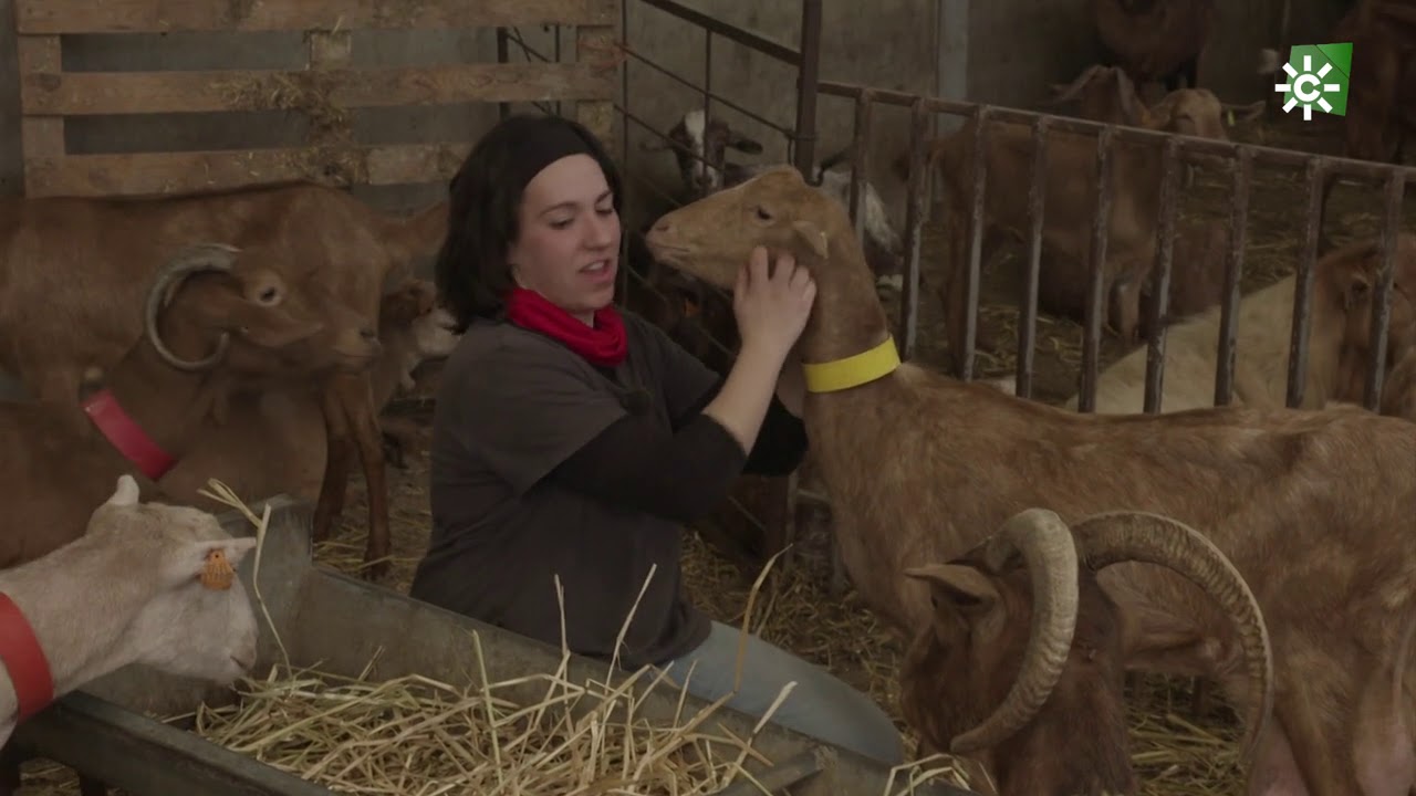 Campechanos | Una cabrera y un apasionado agricultor