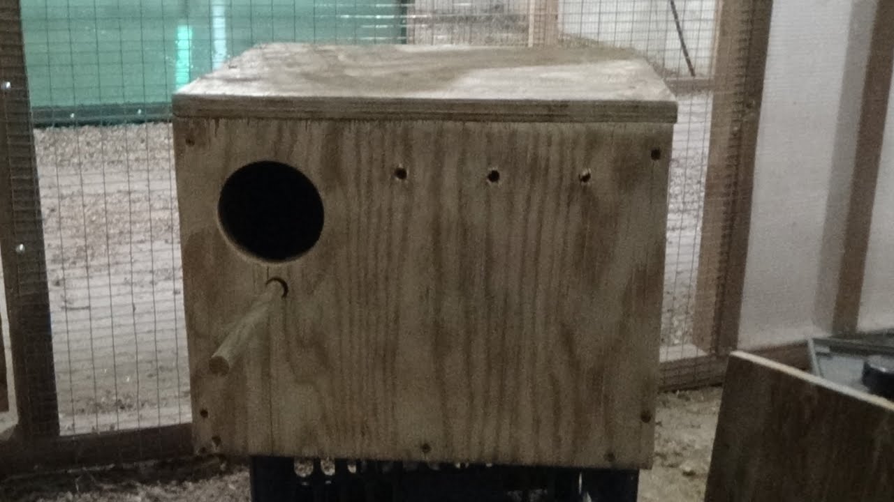 Гнездовой домик для карелл. Размеры и фасон.