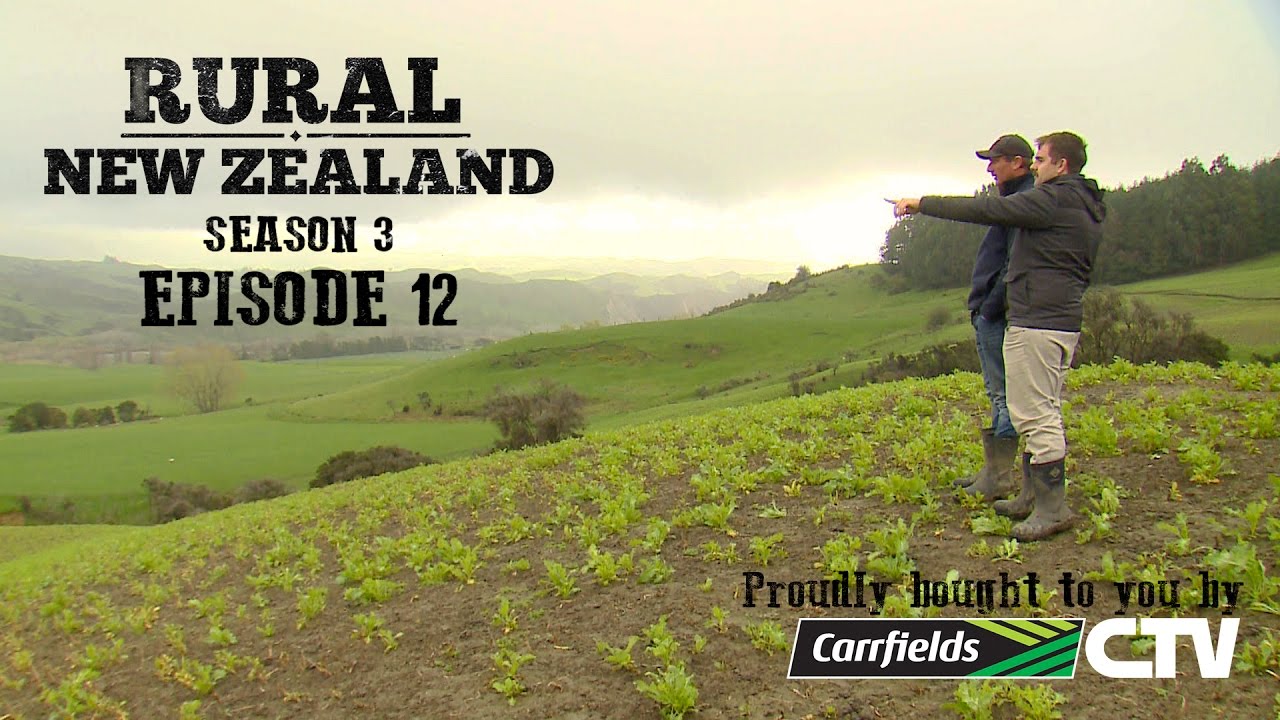 Rural New Zealand - S03 E12