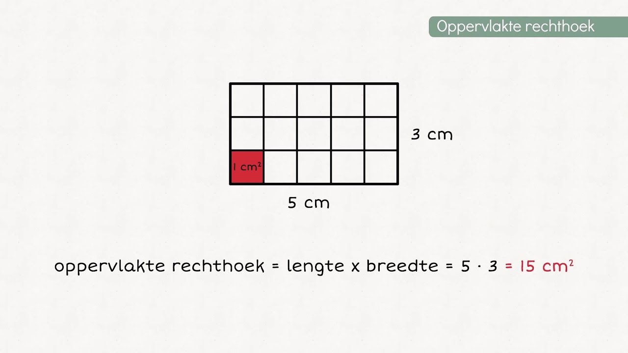 Oppervlakte rechthoek en vierkant
